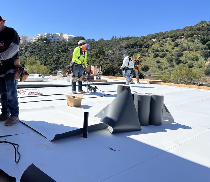 TPO Roofing Membrane, Building Envelope
