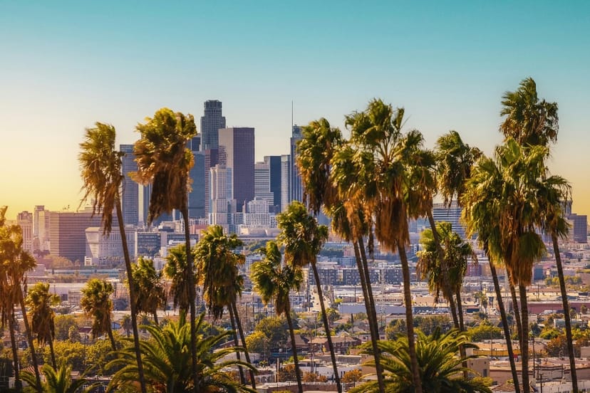 Downtown Los Angeles skyline framed by palm trees at golden hour · HR Development Westside territories